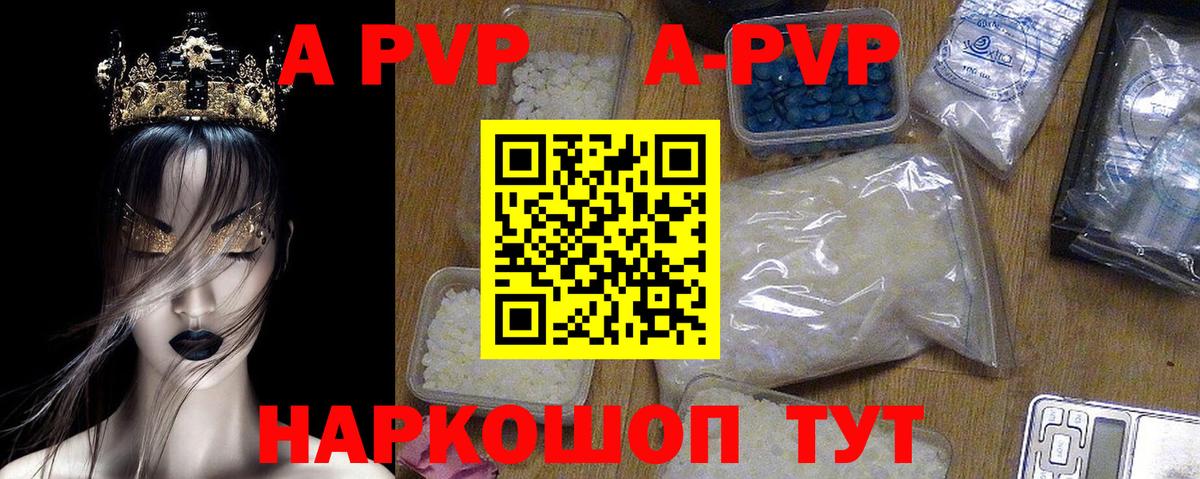 A PVP СК КРИС Шали